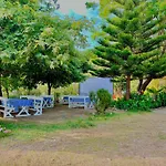 Garden Naza * Piqeras