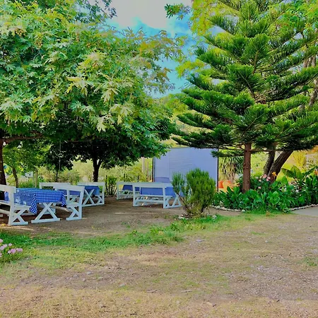 Garden Naza * Piqeras