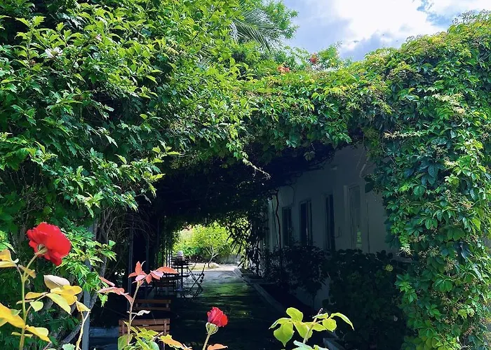 Hotel Garden Naza Piqeras