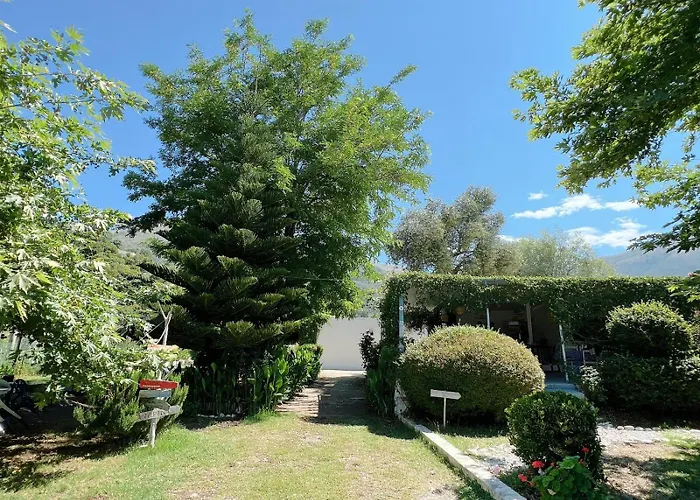 Garden Naza Piqeras