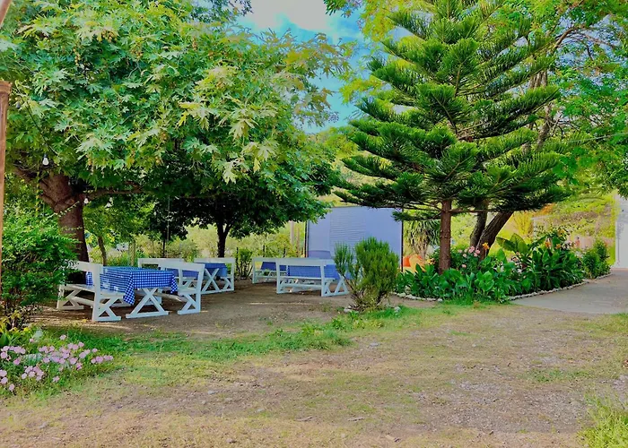 Garden Naza * Piqeras