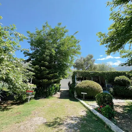 Garden Naza Piqeras