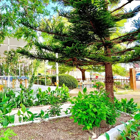Garden Naza Piqeras