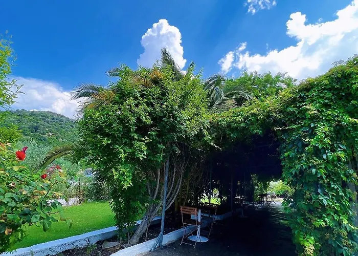 Garden Naza Piqeras