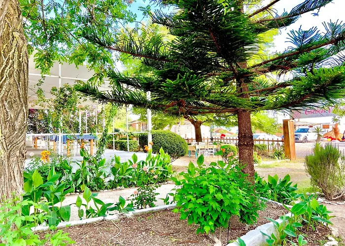 Garden Naza Piqeras